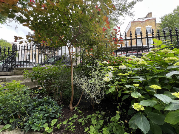 Front garden