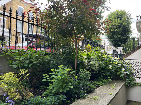 Front garden